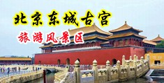 嗯不要艹视频中国北京-东城古宫旅游风景区